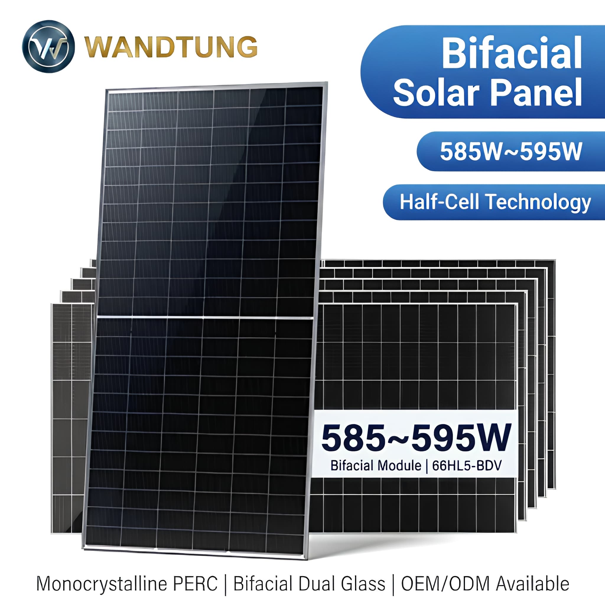Solar PV Module